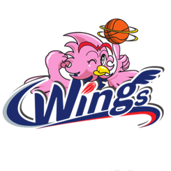 Fujitsu Redwave Women