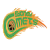 Hills Hornets Women