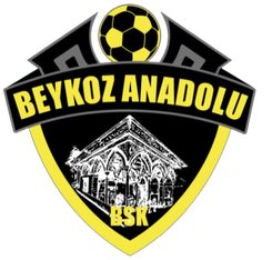 Beykoz Anadolu