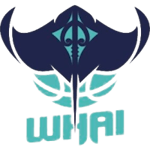 Taranaki Mountainairs