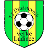 TJ Družstevn&iacute;k Veľk&eacute; Ludince