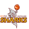Wellington Saints
