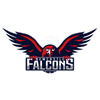 Newcastle Falcons