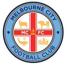 Dandenong City SC